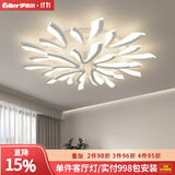伊迪尔 EDIER客厅灯现代简约大气主灯创意个性蒲公英卧室吸顶灯新款中山灯具 白色15头三色变光
