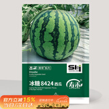 寿禾 8424西瓜种子种苗南北方春季水果种籽 潍育冰糖8424西瓜种子80粒
