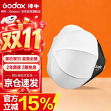 神牛（Godox）ML100Bi摄影灯双色温可调便携夜拍灯人像补光灯户外视频摄像灯 ML-CS30球形柔光箱【官方标配】