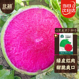 北蔬 心里美红心萝卜种子苗秋冬水果罗卜蔬菜籽 心里美萝卜种子500粒
