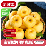 京鲜生山东烟台黄金维纳斯苹果 净重4.5斤 单果220g+应季水果 源头直发
