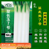 寿禾长白大葱种子苗山东铁杆香葱籽 翠长玉7号(长白大葱)种子15g*2袋