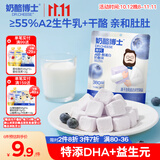 奶酪博士高钙A2β-酪蛋白奶酪块蓝莓味20g 宝宝儿童零食奶酪芝士块高蛋白