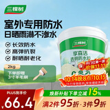 三棵树漆外墙透明防水胶 免砸砖屋顶防水卫生间窗台外墙防水涂料 2kg