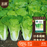 北蔬 快菜种子苗秋冬速生奶油小白菜蔬菜籽 奶油快菜种子10gx2包