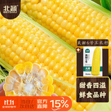 北蔬 水果玉米种子种苗超甜可生食玉米种籽 美甜六号水果玉米种子40g