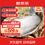 鲜京采鲜活乳山生蚝6XL 净重5斤 6-8只 鲜活到家 源头直发 牡蛎海鲜