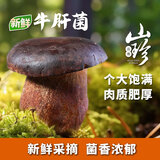 京鲜生云南【新鲜黑牛肝】净重1斤特产鲜菌菇煲汤火锅食材源头直发