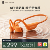 Salt Sound澳威声学AF1气传导蓝牙6.0开放式运动耳机 学生跑步适用苹果华为 清新橙 京东自营 中秋送礼
