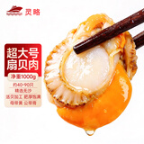 灵略超大号带黄扇贝肉2斤 干净无沙 烧烤海鲜