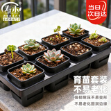 寿禾 育苗盒方形育苗杯培育种子多肉植物种植盆 育苗盒套装(含托架)