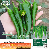 寿禾樟树港辣椒种子苗香辣盆栽菜种籽 潍育寿禾樟树港辣椒种子130粒