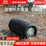 雷登X10蓝牙音箱音响2.0声道 高音质户外大功率低音炮小型随身有源防水迷你便携式2026最新款骑行音响 X10黑色10W四核2.0独立双声道+超低音切换 标配四核+超长续航【双喇叭+双振膜】快至今/
