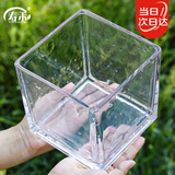 寿禾 玻璃瓶加厚透明植物插花水培容器 15*15大号方形水培玻璃瓶