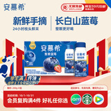 伊利安慕希整颗蓝莓 风味常温酸奶200g*8瓶/箱  礼盒装