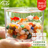寿禾 玻璃瓶水培植物桌面盆栽加厚透明插花瓶 12*12cm方形水培玻璃瓶