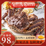 仙鲜福俄罗斯帝王蟹棕蟹螃蟹鲜活冷冻进口黄金帝皇蟹海鲜阿拉斯加蟹生鲜 3.6斤/只（净重3.6-4斤）赠海胆黄