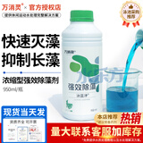 万消灵游泳池灭藻环保型杀藻剂水处理药剂泳池强效除藻剂950ml