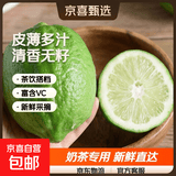 广东香水柠檬包邮新鲜水果柠檬精选皮薄奶茶店【百补优选】 柠檬净重5斤单果净重50g+