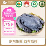 京东跑步鸡原种泰和乌鸡 净重1.2斤 180天慢养滋补煲汤月子餐食