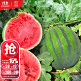 大禹懒汉西瓜种子苗特大适合南方早熟懒人8424麒麟瓜美都无籽水果蔬菜 冰糖麒麟西瓜种子20g装 脆甜