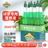 德沃多绿萝专用植物营养液6支/包园艺花肥料生根种植有机叶面肥