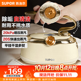 苏泊尔（SUPOR）【优雅复古】手持挂烫机24g/min家用熨烫机110ml水箱蒸汽电熨斗小型便携式EGH-906A团购礼物