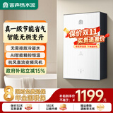容声【免费上门安装】燃气热水器天然气瓶装煤气液化气管道煤气家用洗澡厨房强排式热水器智能恒温JH15 16L 一级能效 冷凝机