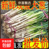 农家自种精品山东大葱特级新鲜铁杆长白葱农家毛葱香葱现挖便宜 山东大葱（带老皮）带箱 4斤