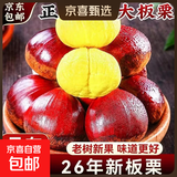 【东东农场专供】26年丹东新板栗生板栗炒菜专用新鲜蔬菜生鲜 丹东鲜板栗 4斤 送栗爪