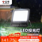 公牛（BULL）LED投光灯庭院灯工地灯园林照明露营灯 IP65防水100W-6500K白光