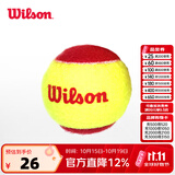 威尔胜（Wilson）IFT初学儿童青少年网球 青少年初学低压训练网球 WRT137001-1粒装