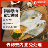 1号会员店（One's Member）甄选海南二去金鲳鱼 700g/2条装 去鳃去内脏 生鲜 鱼类 海鲜水产 