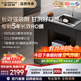 史密斯（A.O.SMITH）佳尼特净水器厨房专用台下用直饮机净水机饮水机家用过滤器 大白 椰皇净水器CXR1050-T1 进口椰壳活性炭 专利5年长效RO膜