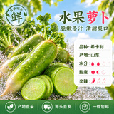 京鲜生山东水果绿萝卜净重3斤 单果380g+ 新鲜蔬菜 源头直发