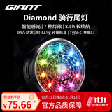 捷安特Diamond骑行尾灯 夜骑高亮警示自行车尾灯防水山地公路车安全灯