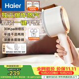 海尔（Haier）手持挂烫机30g爆炸蒸汽160ml水箱家用便携大蒸汽电熨斗小型迷你差旅干湿平挂两用熨衣神器HSS-B08W