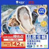 贝司令鲜活生蚝乳山生态牡蛎4XL 净重9斤 17-23只源头直发 生鲜宴会送礼