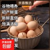 京喜加 谷物喂养初产新鲜鸡蛋40g正负5g生鲜超市买菜早餐鲜鸡蛋草鸡蛋 10枚