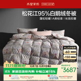 水星家纺羽绒被鹅绒被95%白鹅绒被子冬被冬季加厚被芯双人220×240约5.5斤
