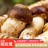 京鲜生云南新鲜姬松茸净重1斤鲜菌菇煲汤小炒火锅食材源头直发
