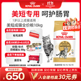 皇家美短成猫粮 ASA31 通用粮 12月以上 10KG