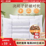 远梦家纺枕头抗菌防螨决明子枕芯家用护颈椎硬枕天然草本定型枕一对 一对 决明子舒适枕(A类)45*70cm