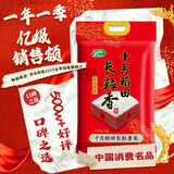 十月稻田 长粒香大米 10斤（东北大米 香米 5kg/公斤）