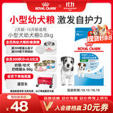 皇家狗粮 幼犬狗粮 幼犬奶糕宠物小型犬MIJ31全价犬粮2-10月800g