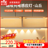 雷士（NVC）学生宿舍学习酷毙灯橱柜灯洗手间厨房条形小夜灯三色触控组合D