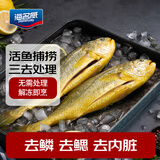 海名威 冷冻三去黄花鱼 净重750g/2 宁德大黄鱼 生鲜鱼类 海鲜水产 海鱼