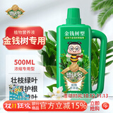德沃多金钱树植物营养液500ml园艺绿植花肥料盆栽花卉叶面肥通用