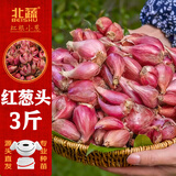 北蔬葱头红葱头种广东小香葱火葱家庭阳台种籽 红葱头3斤源头直发包邮
