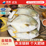 翔泰海南深海金鲳鱼2.4斤/3-4条净重BAP认证生鲜鱼类 海鲜水产